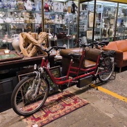 VÉLO TANDEM ÉLECTRIQUE COPILOT