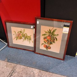 CADRE IMPRESSION FRUIT