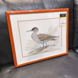 CADRE DESSIN CANARD