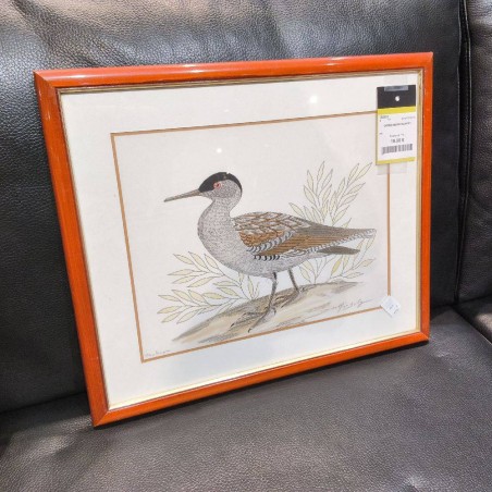 CADRE DESSIN CANARD