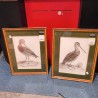 CADRE DESSIN OISEAU