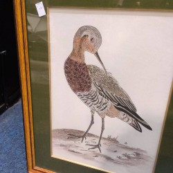 CADRE DESSIN OISEAU