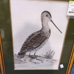 CADRE DESSIN OISEAU