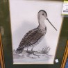 CADRE DESSIN OISEAU