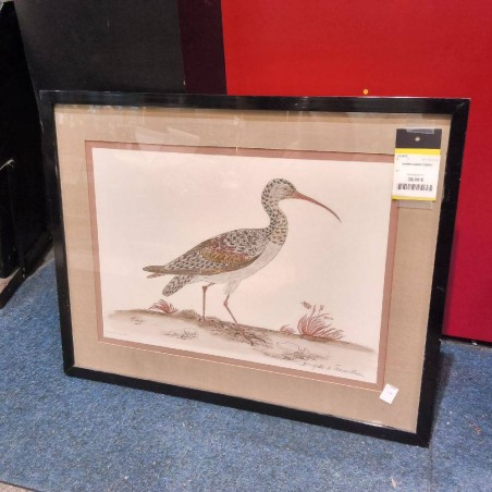 CADRE DESSIN OISEAU