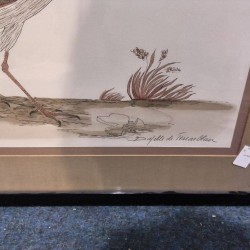 CADRE DESSIN OISEAU