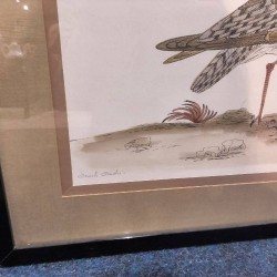 CADRE DESSIN OISEAU
