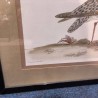 CADRE DESSIN OISEAU