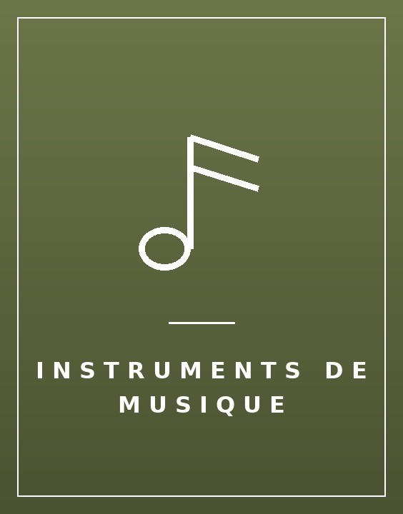 INSTRUMENTS DE MUSIQUE